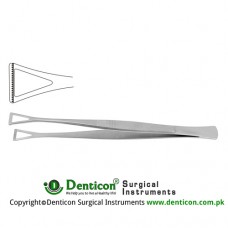 Collin-Duval Intestinal Forceps Stainless Steel, 20 cm - 8" Width 27.0 mm